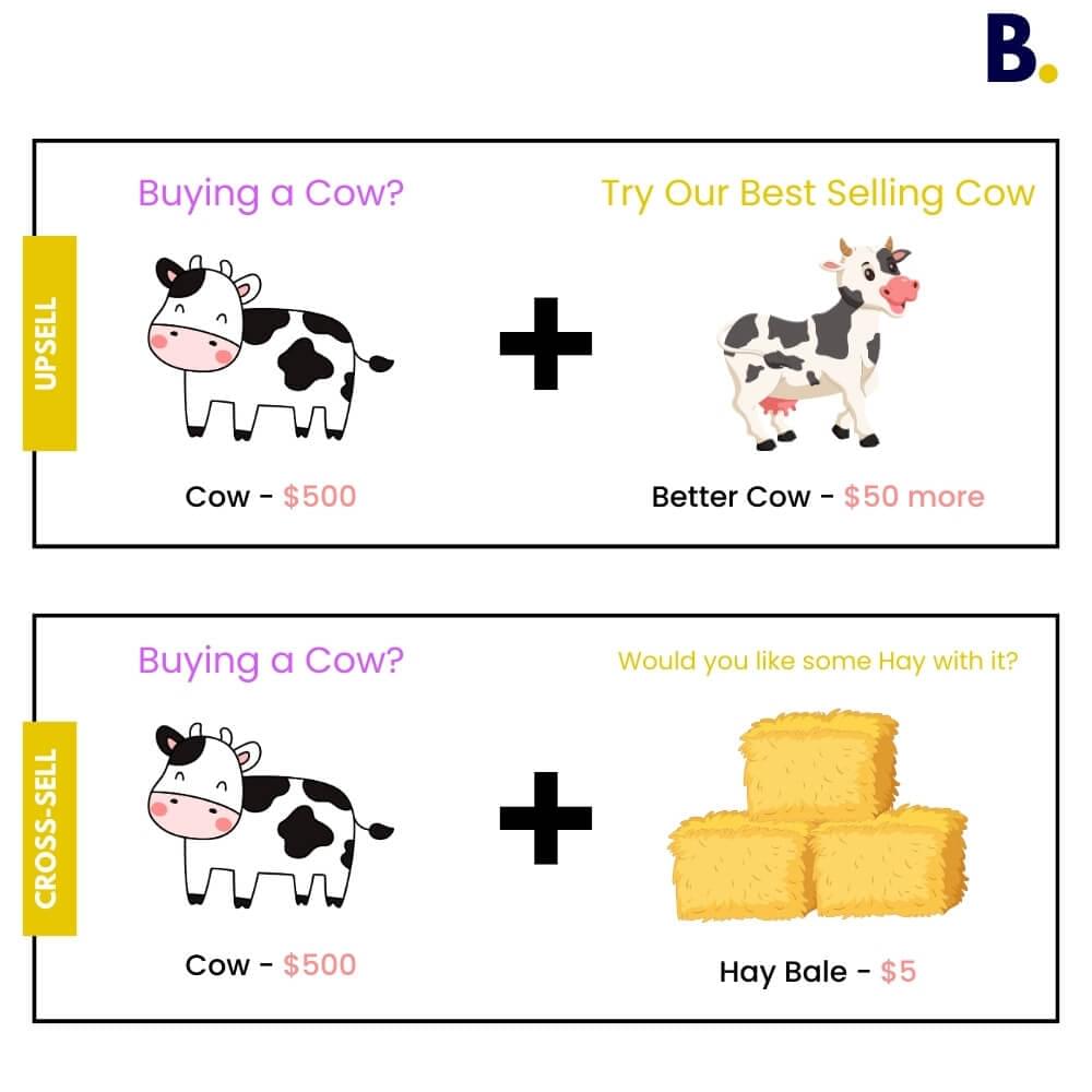 upselling & cross-selling techniques for ecommerce stores explanation